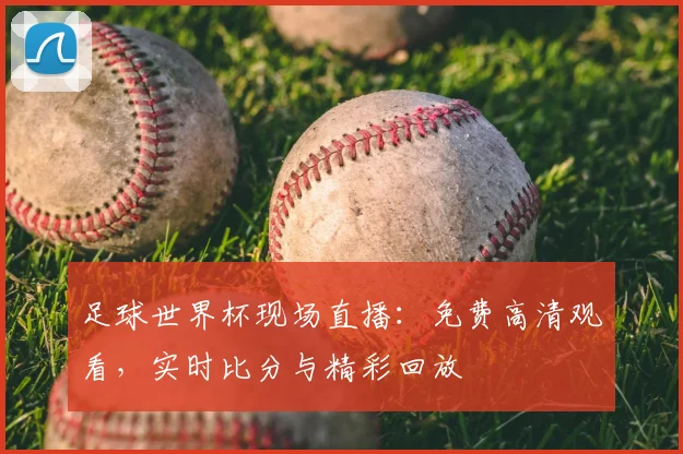 足球世界杯现场直播：免费高清观看，实时比分与精彩回放