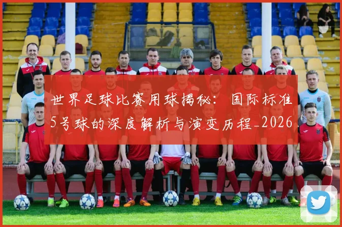 世界足球比赛用球揭秘:国际标准5号球的深度解析与演变历程_20260609201514